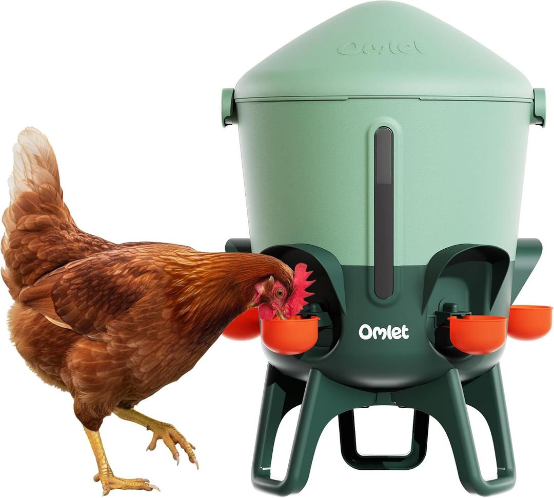 Omlet Insulated Chicken Waterer, 3 Gallon | Automatic Poultry Water Dispenser with 5 Cups & Nipples Included | BPA-Free | Anti-Roost Lid | Sage Green