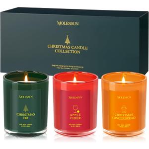 Valentine's Day Candles Gift Set, 3 Pack 30oz Scented Candles for Home, Soy Candle Scents of Apple Cider/Gingerbread/Fir, Luxury Gift Box, Holiday Birthday Gifts for Women & Men