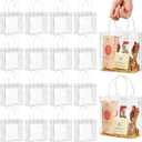 Jutieuo 16 Pack Clear Plastic Gift Bags with Handles, 5.9" x 6.3" x 2.8" Reusable Transparent Party Favor Bags PVC Goodie Bags Bulk for Wedding, Baby Shower, Birthday
