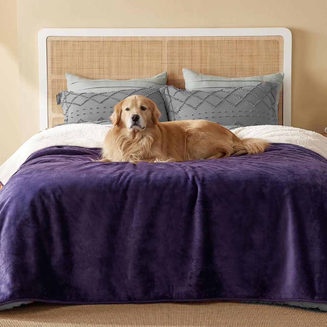 Bedsure Waterproof Blanket for Bed - Sherpa Fleece Waterproof Dog Blankets for Large Dogs, Pet Blankets for Bed/Couch/Dog Crate, Soft Plush Reversible Furniture Protector, Queen, 90"x86", Eggplant
