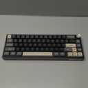 RK ROYAL KLUDGE R65 Wired Gaming Keyboard with Volume Knob, 60% Percent RGB Backlit Mechanical Keyboard Gasket Mount with PBT Keycaps, MDA Profile, QMK/VIA, 66 Keys Hot Swappable Cream Switch, Black