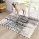 CRISTGEE Door Mat, Front Indoor Door Mat Faux Wool Non-Slip Entryway Rug Absorbent Abstract Throw Rug for Indoor Entrance Hallway Laundry Room, High Traffic Areas, 20 x 32 Inches, Lake Blue/Gray (1'8" X 2'8" (Rectangular))