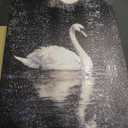 TravelReady Moody Swan Framed Wall Art Dark Moonlight Wall Decor 9x11 In