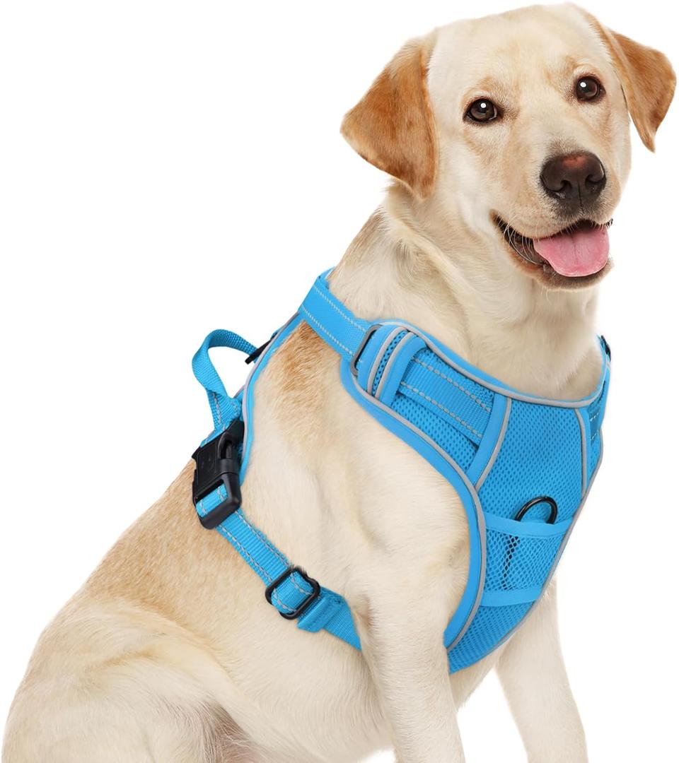 Joytale Step-in No Pull Dog Harness for Large Dogs with 2 Leash Clips, Reflective Pet Vest with Easy Control Handle, Adjustable Soft Padded Harness for Walking and Training, Aqua Blue, L