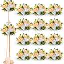 Hotop 12 Pcs Artificial Rose Flower Balls for Centerpieces, Silk Roses Kissing Balls Romantic Faux Floral Arrangements for Engagement Wedding Home Decor (Champagne,White)