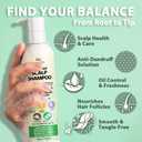 Recuren Plus Scalp Dandruff Shampoo: Scalp Dandruff– with Salicylic Acid, Piroctone Olamine, Rosemary & Coconut Oil