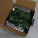 Vine with Fairy Lights, 2 Pack 40LEDs Vine Lights Green Ivy Vines String Lights Battery Operated, Artifical Garland Leaf with Fairy Light for Bedroom Dorm Wall Decor