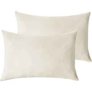StangH Cream White Pillowcovers Bed Pillowcases Super Soft Velvet Pillow Covers Warm Pillow Protector for Babies/Hair and Skin Friendly, Set of 2, Ivory White, 20 x 30 inches
