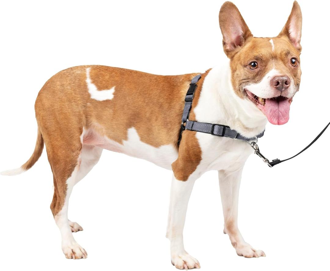 PetSafe Easy Walk Deluxe Dog Harness, No Pull Dog Harness  Perfect for Leash & Harness Training  Stops Pets from Pulling and Choking on Walks  Medium, Steel (Medium (Pack of 1))