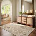 Washable Entryway Small Area Rugs: Door Mat Indoor Entrance 3x5 Rug Stain Resistant Non Slip Soft Carpet Rug for Kitchen Front Door Indoor Entrance Entry Bedroom Kids Room