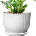 8 Inch Plant Pot,Ceramic Planter with Drainage and Saucer,Ceramic Pots for Plants,Indoor Plant pots,Ceramic Flower pots(Pure White, Plants NOT Included)