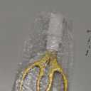 AWinjoy Japanese Gold Kitchen Scissors, Heavy Duty Stainless Steel, Multipurpose Cooking Shears, Dishwasher Safe