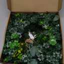 St Patricks Day Artificial Eucalyptus Wreath Saint Patrick Decorations for Front Door - St Paddys Shamrock Decor for Irish March Home Wall Porch Party Supplies