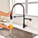 Avola Copper & Black Spring High Arc Kitchen Faucet,Stainless Steel Pull Down Sprayer Faucets,Kitchen Sink Faucet Single Handle Spring Two Nozzles Faucets, Suitable for RV, Bar & Laundry