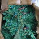 Joiedomi 9FT Christmas Garland, Carolina Pine Artificial Holiday Garland with 50 Lights Warm White String Lights for Winter Christmas Decoration