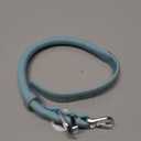 BRONZEDOG Rolled Leather Dog Collar for Dogs with QR ID Tag (S: 12-14 Inch, Teal)