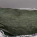 Bedsure California King Comforter Set - Dark Green Soft Bedding for All Seasons, Cationic Dyed Bed Set, 3 Pieces, 1 California King Size Comforter (104"x96") and 2 Pillow Shams (20"x36"+2")