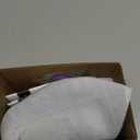 8Bitdo Ultimate 2C Hall Effect Joysticks Bluetooth Controller with Remappable L4/R4 Bumpers, 6-axis Motion Control, Rumble Vibration and Turbo Function for Switch/Switch 2 (Blue)