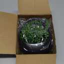 Der Rose 2 Pack Fake Hanging Plants Artificial Succulents Plants Indoor for Black Boho Bathroom Wall Decor