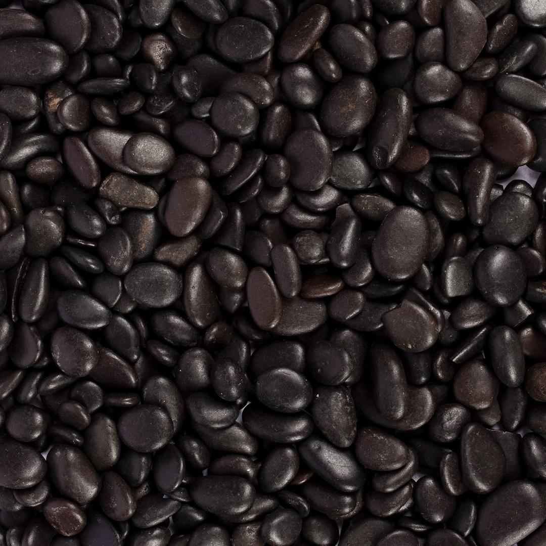 5 lbs Approx. 430 Black River Rocks Stones for Plants Pebbles for Indoor Plants | Aquarium Fish Tank Rocks | Polished Decorative Rocks for Vases (0.3-0.6 Inches)