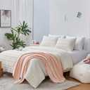 Aeropostale 3 Piece Eloise Eyelash Bedroom Comforter and Matching Sham Set,Full/Queen,Ivory