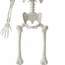 JOYIN 5 FT Halloween Skeleton Life Size, Stayable Posable White Skeleton Decor, Full Body Movable Joints Giant Skeletons for Halloween Decoration, Spooky Scary Graveyard Party, Haunted House Prop