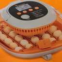 [2024 Upgrade] 25 Egg Incubator, Automatic Egg Turner with Thermometer Seat and Humidity Control, Egg Candler, 360 View with Clear Window, Incubators for Hatching Chicks (Sunlit Orange)