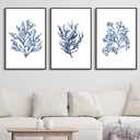 Large Framed Coral Wall Art, Navy Blue Coastal Ocean Life Prints, 20"x28"x3