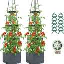 2 Pack Raised Garden Bed Planter Box with Trellis, 58 Tomato Planter with Trellis for Climbing Plants Vegetables Vine Flowers, Self-Watering Tomato Cage for Garden Patio Outdoor & Indoor