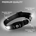 Super Bright LED Dog Collar - Fully Waterproof & Adjustable Glow Collar - USB-C Rechargeable for Night Walking, Safety - Flashing Lighted Collar for Dogs(White,L)