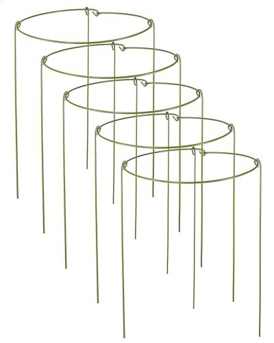 5 Pack Plant Support Stakes, Adjustable Plant Ring Cages with Green Rubber Wrapping, Ideal for Orchids, Indoor and Outdoor Potted Plants, 6" Wide x 11" High