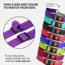 CollarDirect Martingale Dog Collar Heavy Duty Nylon Slip Collars for Small Medium Large Dogs [Stainless Steel Chain and Quick Release Buckle, Reflective, Purple, S, 12"-15"]
