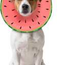 MIDOG Dog Cone Collar for Dogs, Watermelon, Small