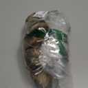 sy soul young Faux Fur Headband with Elastic for Women's Winter Earwarmer Earmuff (Raccoon)