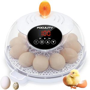Egg Incubator for Hatching Chicks, Holds 12 Eggs, Automatic Egg Turner with Temperature, Humidity Display, Egg Candler, Automatic Egg Turner, 360 Degree View with Clear Window
