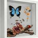 8x8 Shadow Box Frame Display Case, 3D Picture Frame, Display Case Box for Memorabilia, Baby Items, Wedding Memories, Crafts, Tickets and Photos (White)