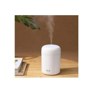 Portable Mini Humidifier, Colorful, Cool Mist, USB Powered. Perfect for Bedroom, Office & Car (300ml, White)