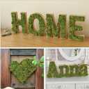 YUNVI 35 OZ Large Capacity Artificial Moss for Potted Plants,Natural Fake Moss Grass for Plants Indoor,Craft and Greenery Bulk for Hamsters(Fresh Green)