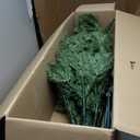 7.5ft Grenn Pre Lit Spruce Artificial Christmas Tree with 550 Warm White Lights