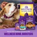 Wellness Bowl Boosters Simply Shreds Wet Dog Food Topper for Small, Medium, and Large Breeds, Grain Free, Natural, Beef and Carrots Recipe, 2.8 oz, Pack of 12 Pouches (EXP 06/26/26)