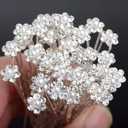 AKOAK 40 Pcs Bride Diamond Pearl Flower Tiara Wedding Bridesmaid Pearl Flower Hair Pin Delicate and Elegant Female U-pin Metal Hair Fork for Women's Hair Jewelry
