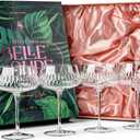 Vintage Flamingo Belle Coupe Glasses for Cocktails and Champagne | Set of 4 | 12 oz Crystal Retro Style Stemmed Saucers for Elegant Bar Drinks | Tropical Glassware Collection