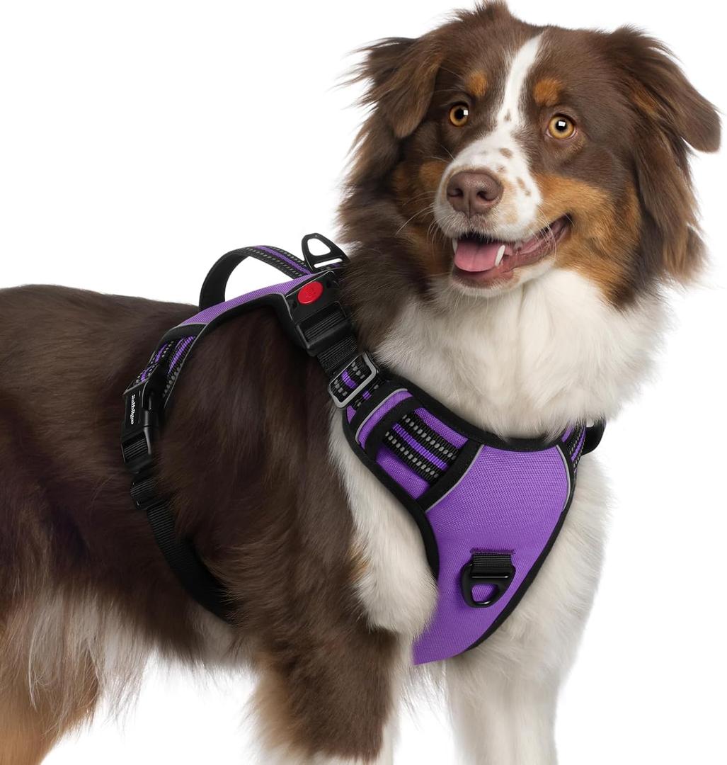 rabbitgoo Dog Harness, No Pull Pet Harness with Soft Padded Handle, Adjustable Reflective Vest with 3 Buckles, Easy Walking Harness with 2 Leash Clips, Purple, XL