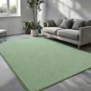 Pettop 4x6 ft Light Green Area Rugs for Bedroom Living Room, Washable Memory Foam Indoor Carpet, Modern Aesthetic Minimalist Non Slip Soft Comfy Carpet for Boys Girls Dorm Home Decor