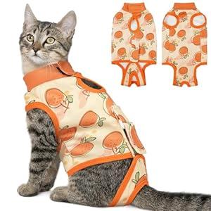BRKURLEG Cat Recovery Suit, Surgery Onesie for Cats, After Surgery E-Collar Male and Female Alternative for Cats, Pet Surgery Shirt for Spay Abdominal Skin Anti Licking, Orange, XL