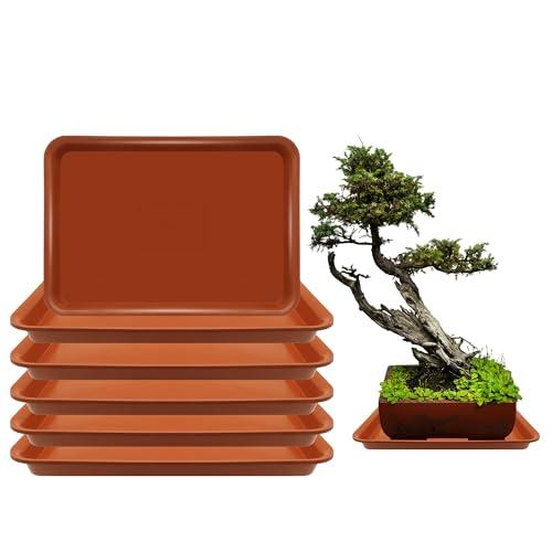 TNTIWQ 6 Pack 12.5 Inch Rectangle Plant Saucers for 7.8 Inch Pots - Indoor Outdoor Drip Tray for Planters - Plastic Planter Water Tray(Terracotta, 12.5"x9"(6pcs))