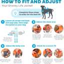 Outward Hound Granby Splash Orange Dog Life Jacket, XL