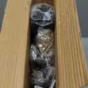 Trellume Garden Arch Trellis for Climbing Plants Outdoor - Height: 94.5", Length: 55", Sturdy Metal Garden Arbor with Rust-Proof Coating, Garden Arch for Wedding Decorations and Balloon Arch Stand