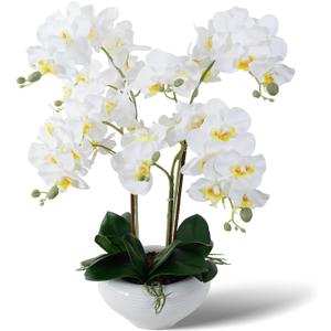 Ziwon Artificial Orchid Flowers Potted in Ceramic Pot, White Faux Phalaenopsis Orchids for Table Centerpiece, Realistic Fake Flower in vase for Home Office Decor Indoor (Ww11)