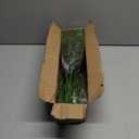 WeGuard 16 Pcs Real Touch Artificial Norfolk Pine Branches, 18 Inches Faux Norfolk Pine Stems Fake Christmas Greenery Picks for Vase DIY Garland Wreath Christmas Decorations Indoor Outdoor